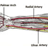 Phalloplasty Surgery Guide - Phalloplasty Surgeons & Resources